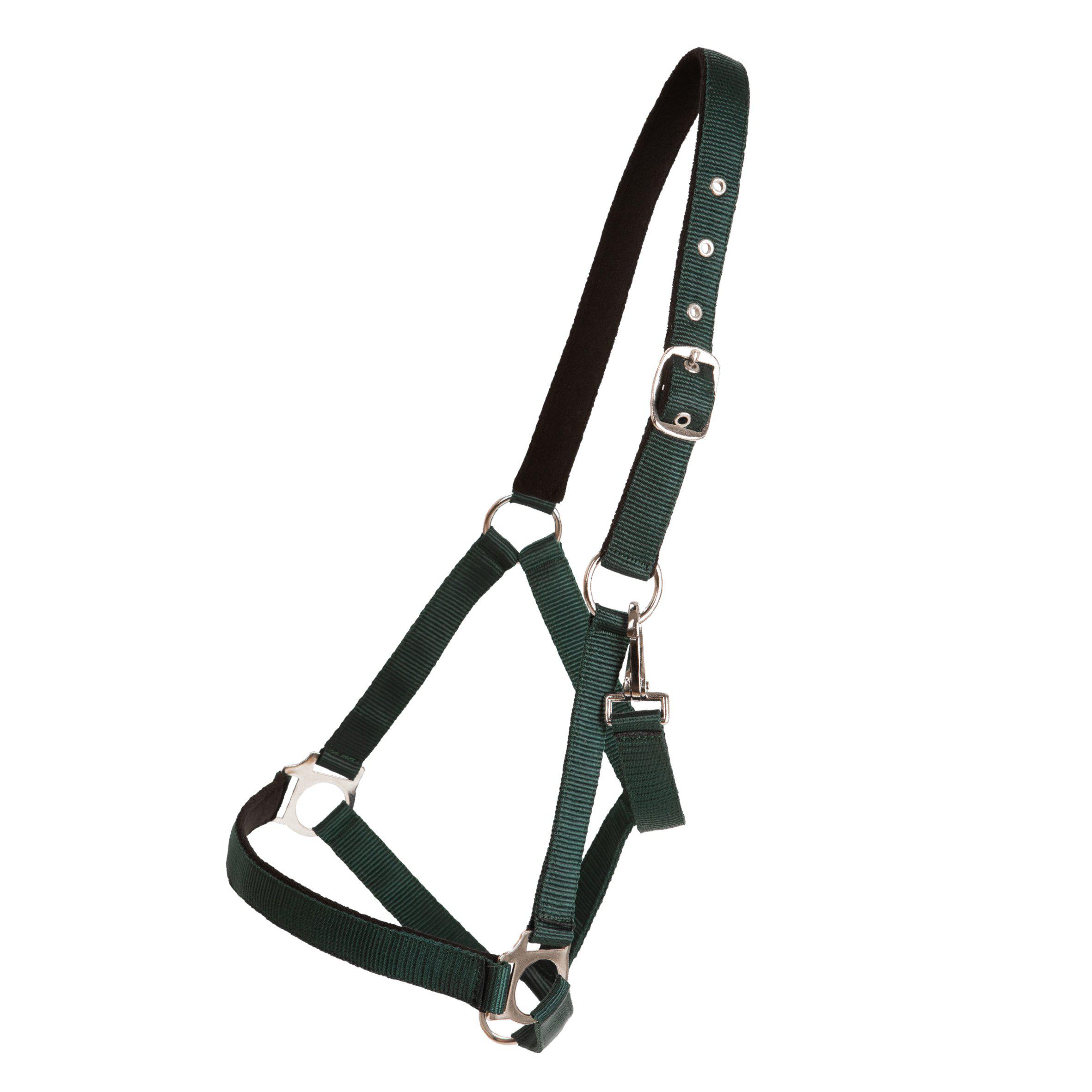 Horse Unique Basic Grimma - Grön (Ponny)