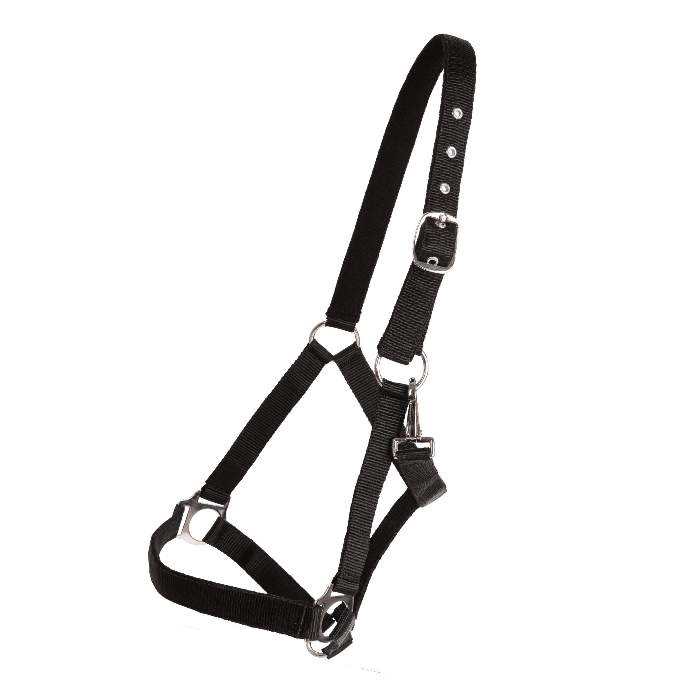 Horse Unique Basic Halter - Teal - 2