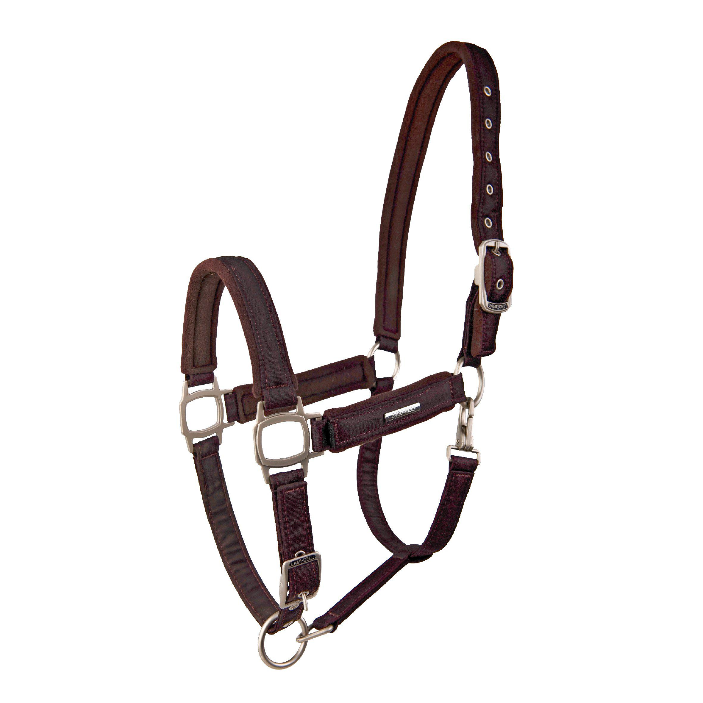 Lami-Cell Aurora Grimma - Burgundy (Cob)