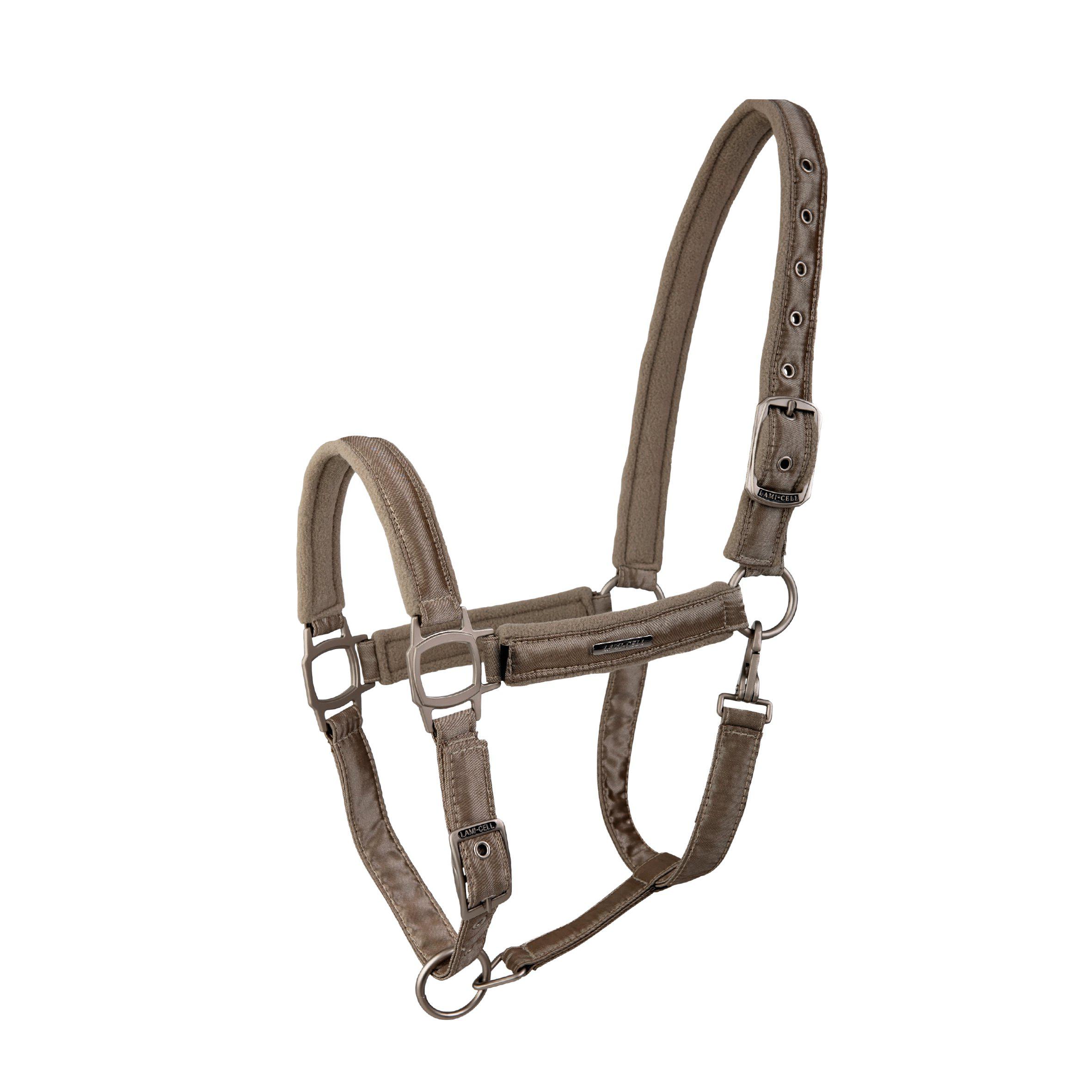 Lami-Cell Aurora Grimma - Champagne (Cob)