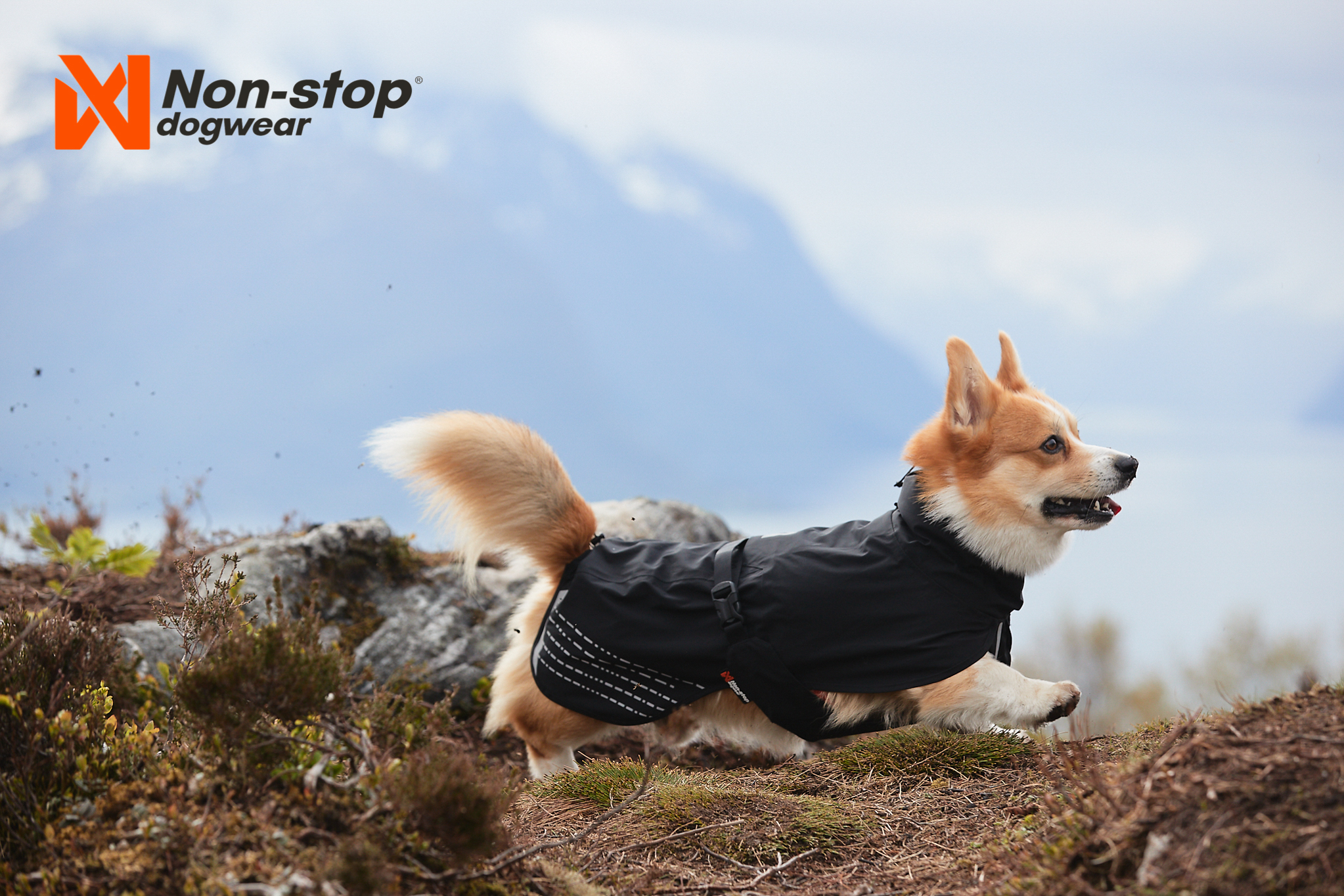 Non-Stop Dogwear Fjord Raincoat - Black , 50 - 2