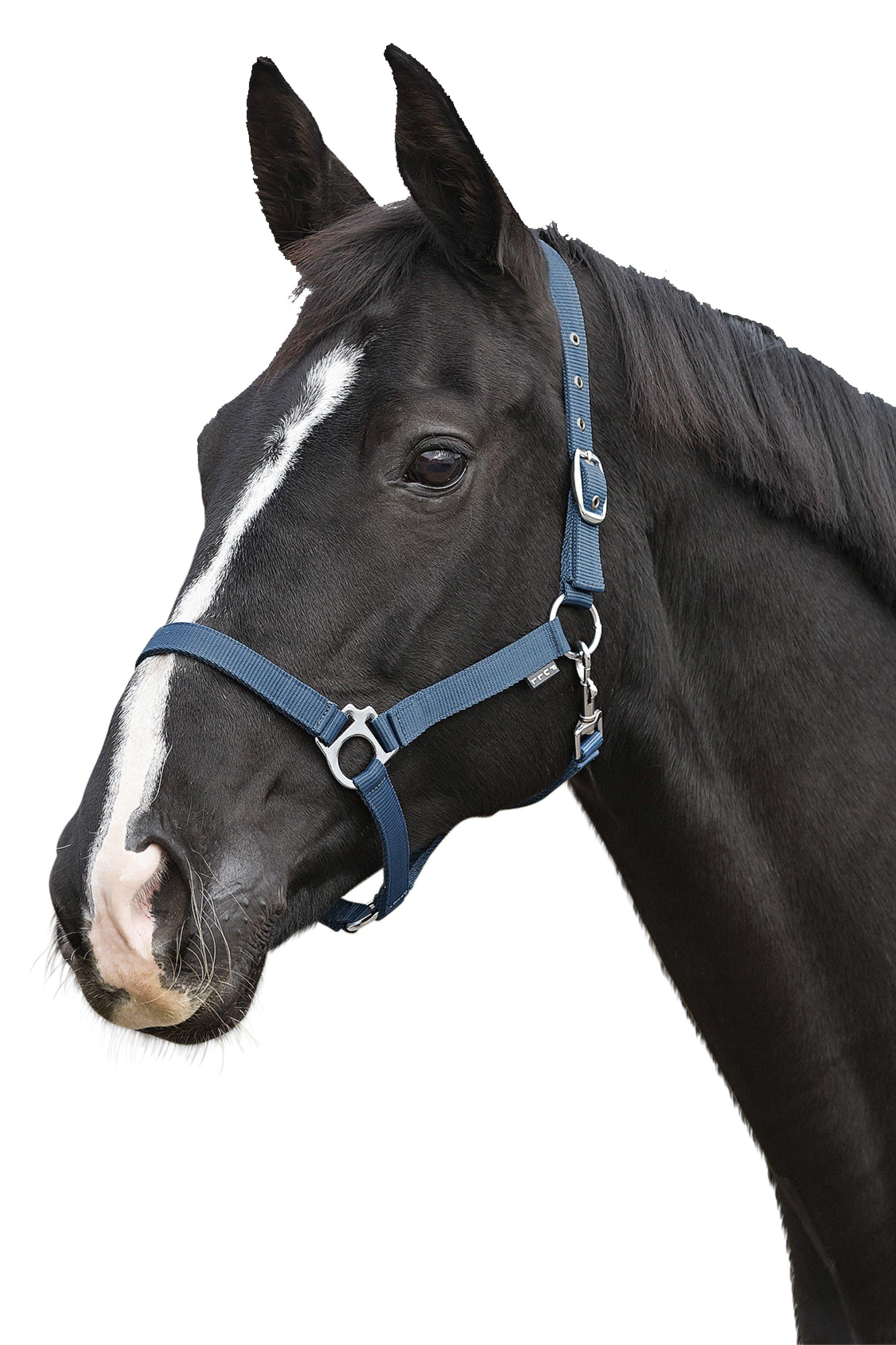 Protector Nylon Halter, Unlined - Black - 2