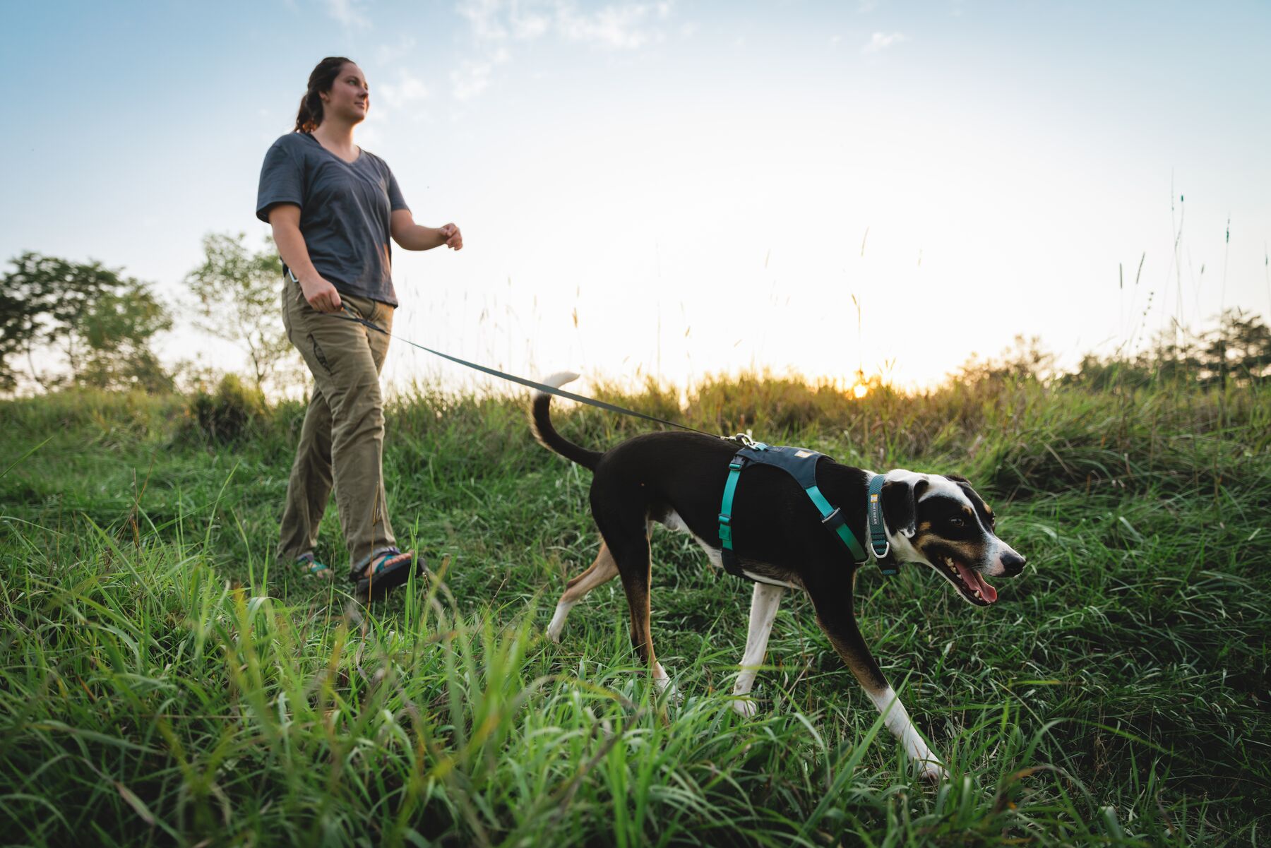 Ruffwear Hi & Light™ Leash - Basalt Gray 