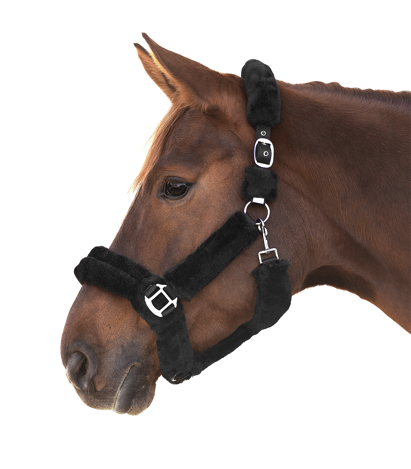 Waldhausen Cozy halter black silver - 2