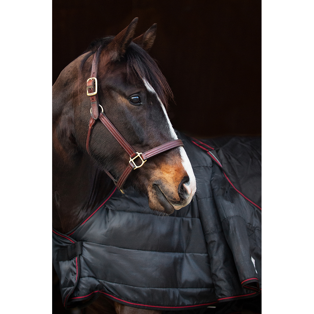CATAGO Dual Pro rug 100g black - 3