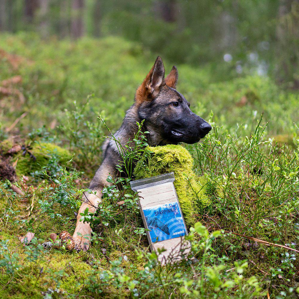 OZAMI Spårpinnar för träning - 2