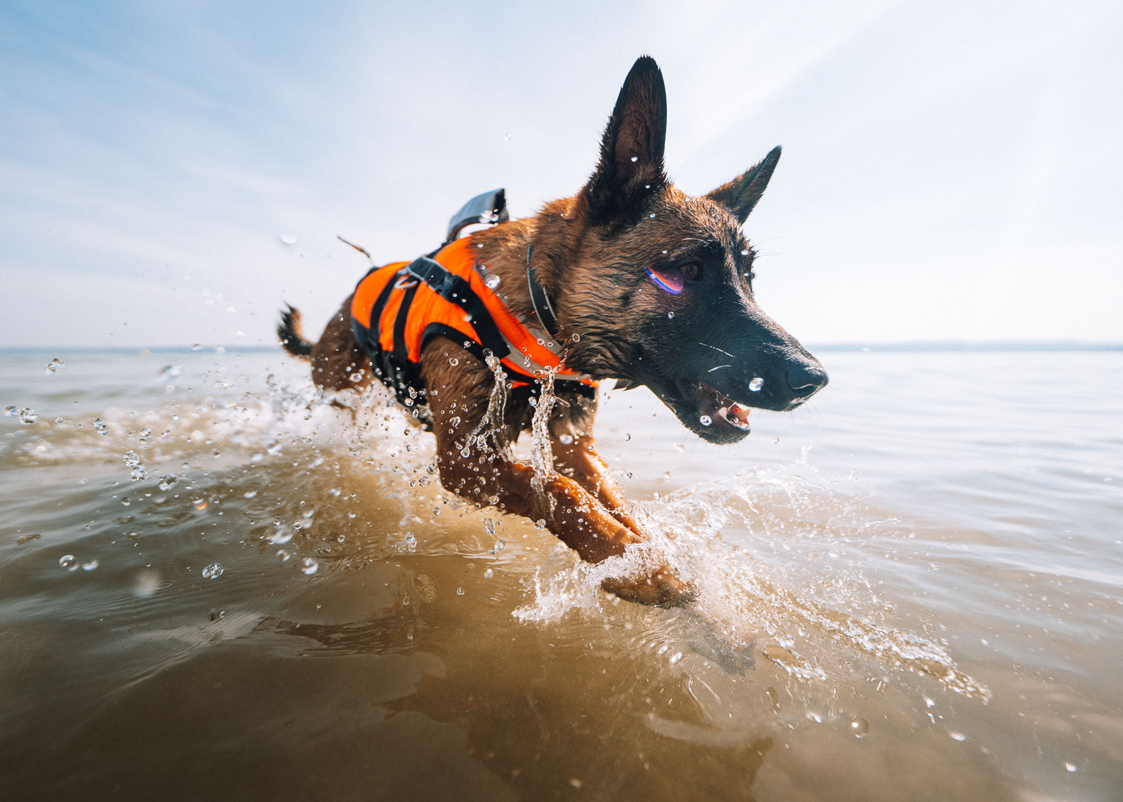 Non-stop Dogwear Safe Life Jacket for dogs - Orange, 3 - 7