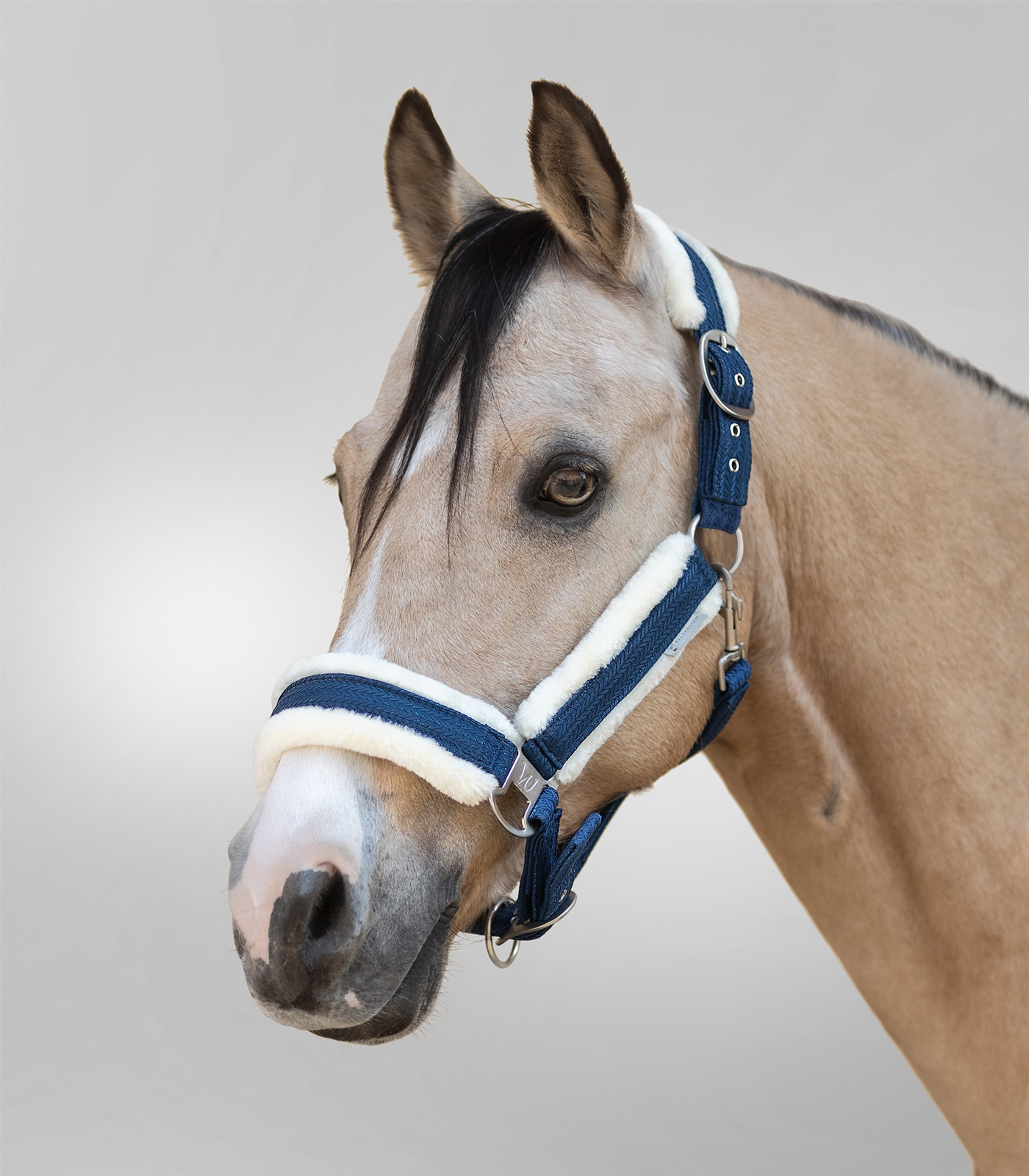 Waldhausen Sparkle Grimma midnattsblå - 2