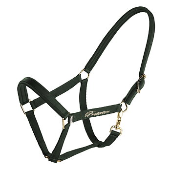Protector Derry Halter - Green