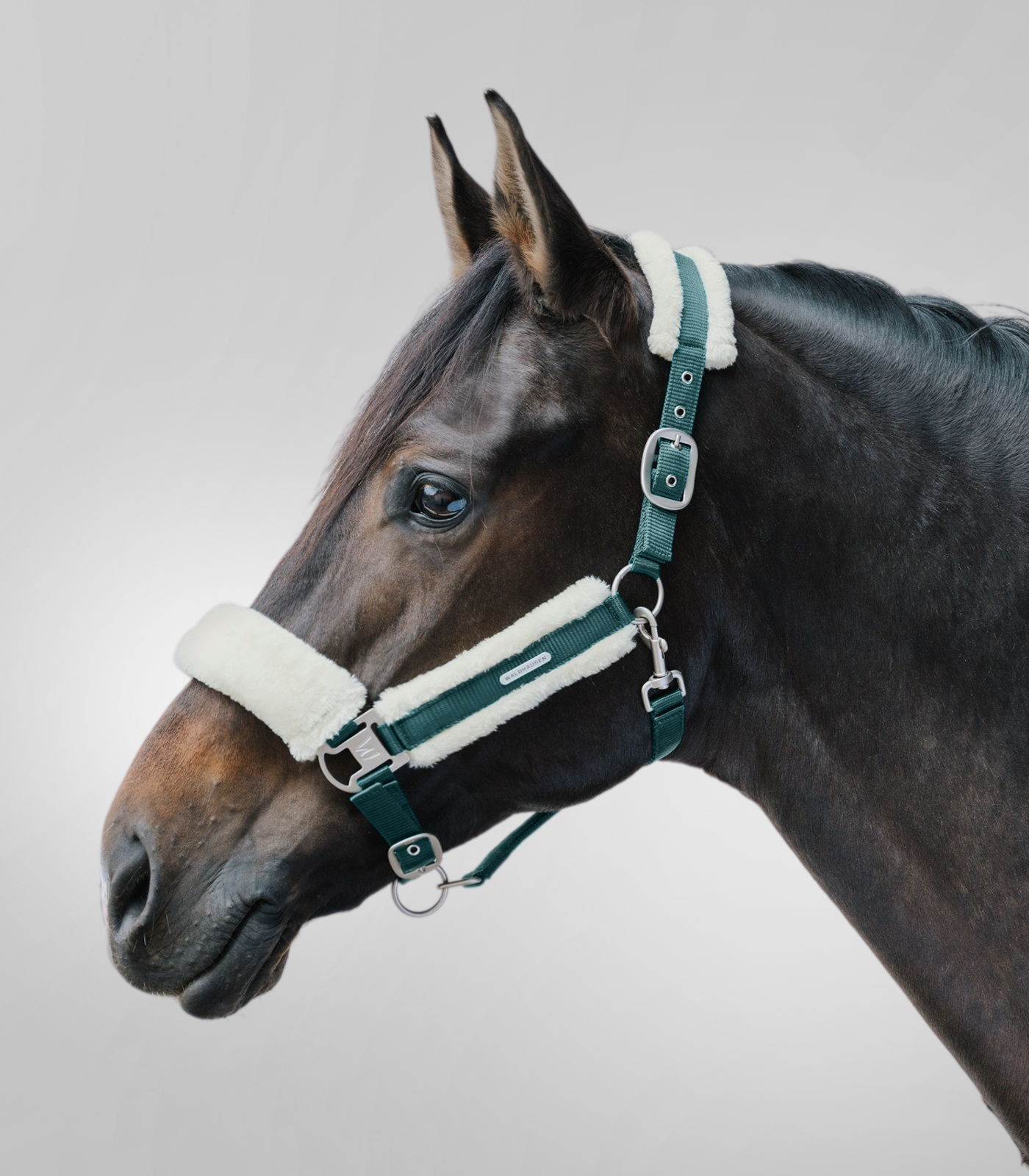 Waldhausen Soft Halter fir green - 2