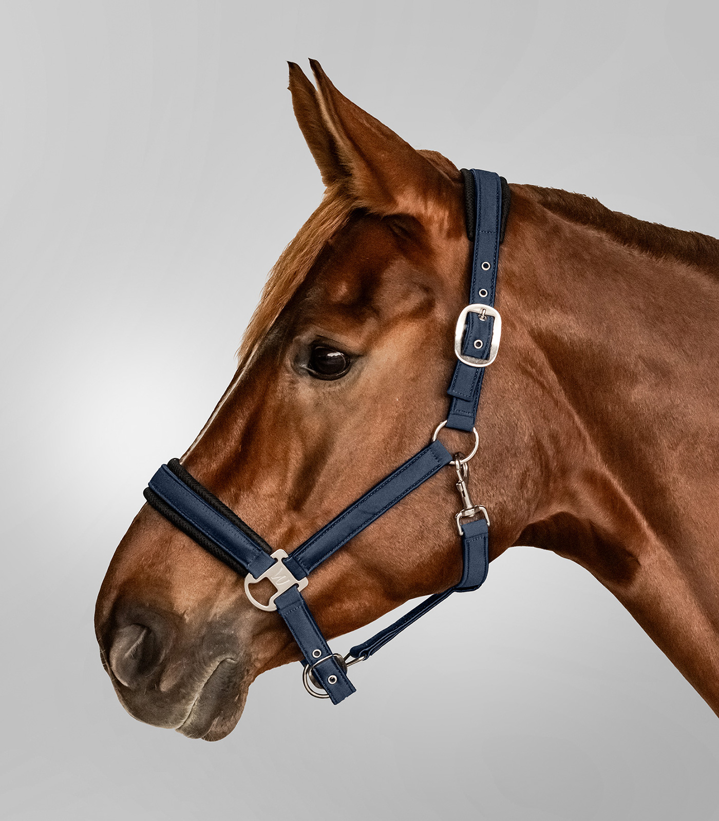 Waldhausen Breath Halter midnight blue - 3