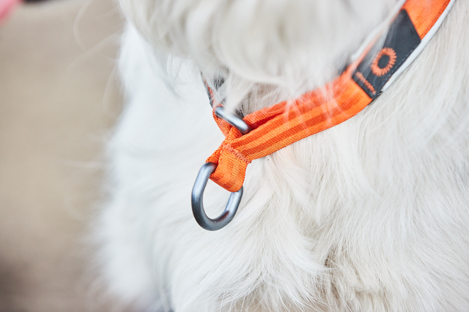 Non-stop Dogwear Cruise Collar - Orange, 53-60cm