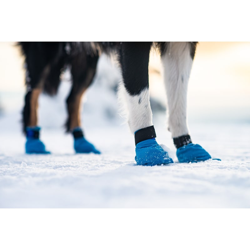 Non-stop Dogwear Long Distance bootie 4p - Blue, 8-9cm - 2