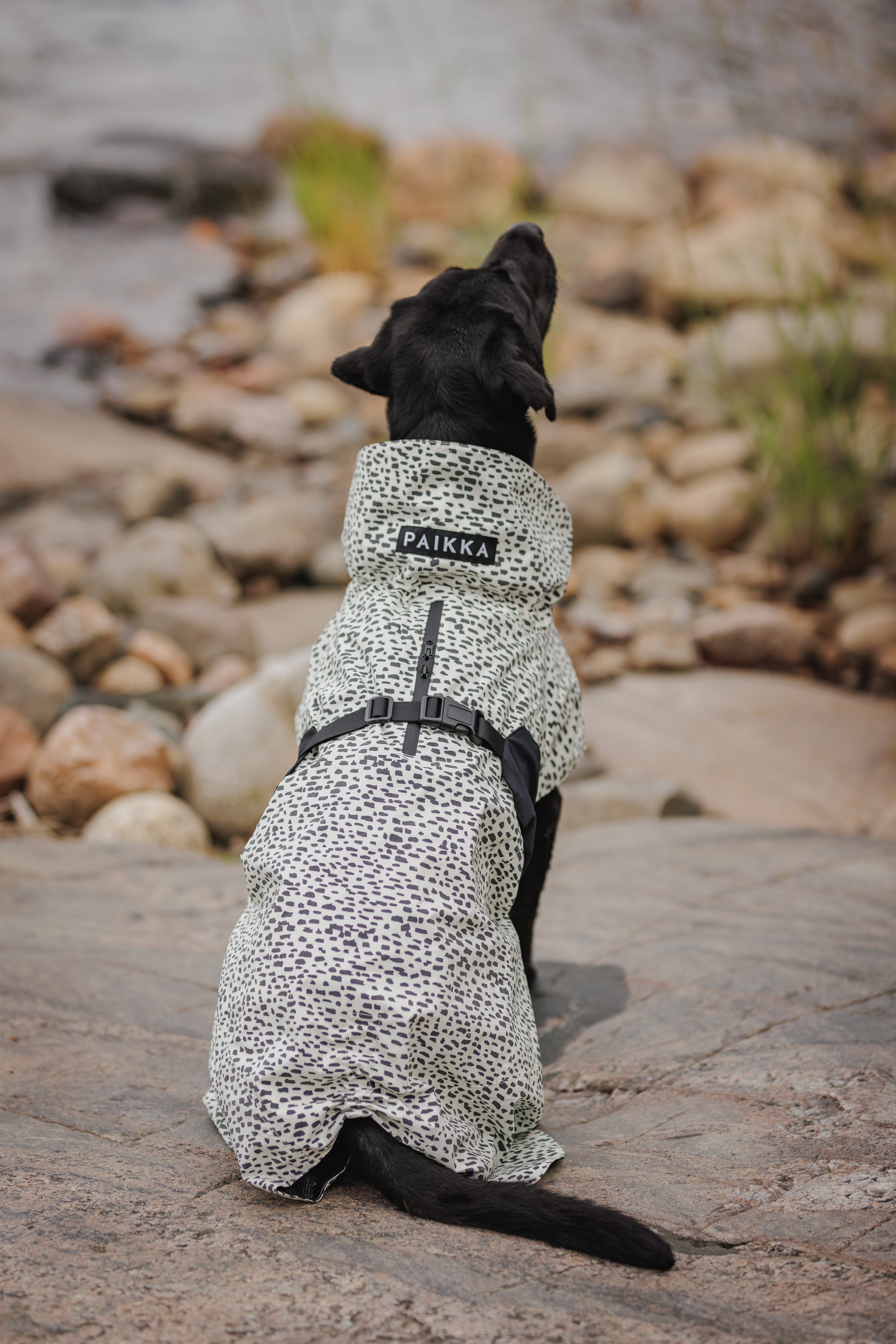 PAIKKA Raincoat 2.0, 55 - only this copy - 6