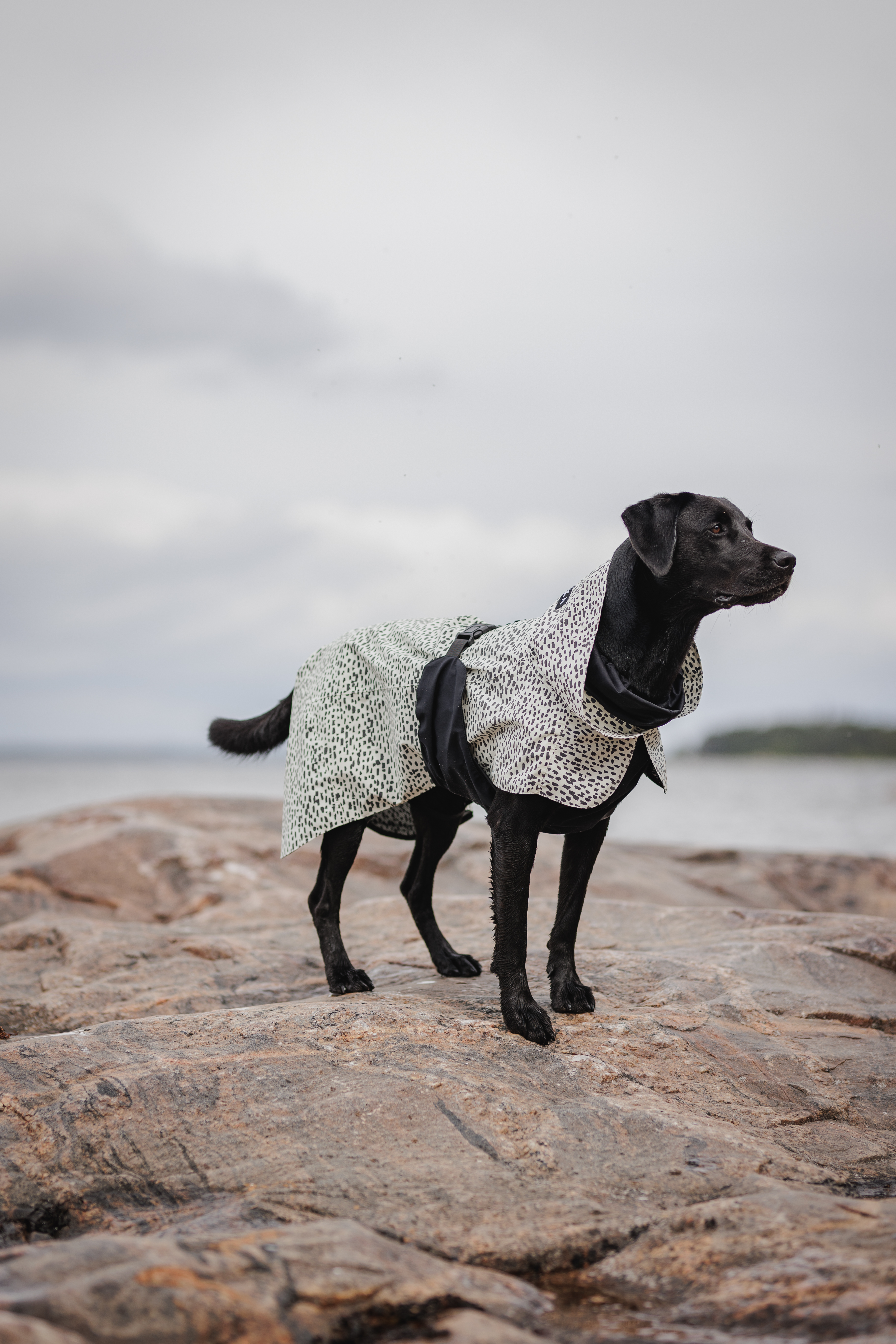PAIKKA Raincoat 2.0, 55 - only this copy - 8