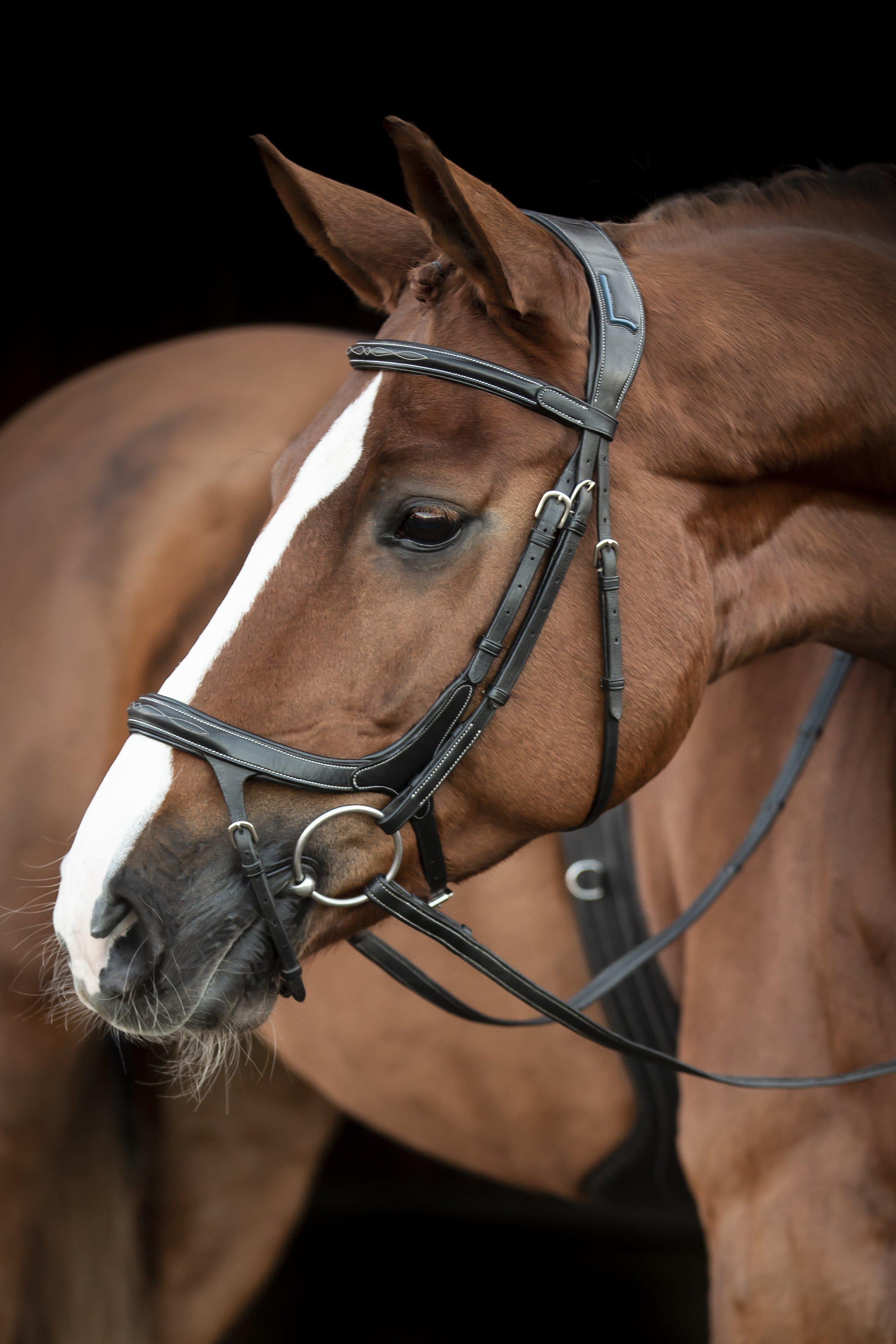 Lippo Fazzino Bridle - Oak Bark - 3