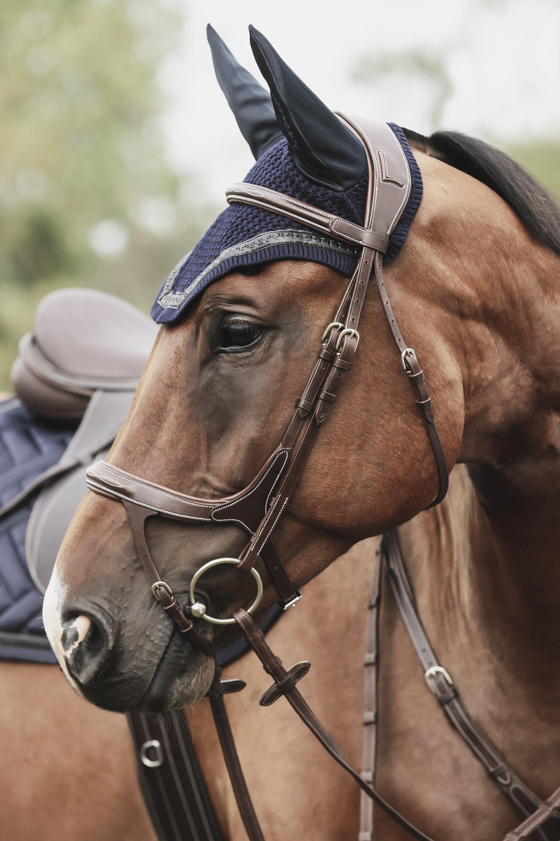 Lippo Fazzino Bridle - Oak Bark - 4