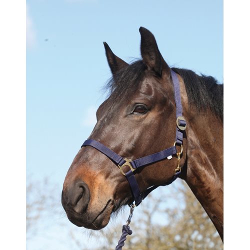 Grimma Nylon- Shetland (Marinblå)