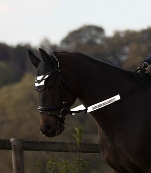Waldhausen Reflective Band for Reins Silver