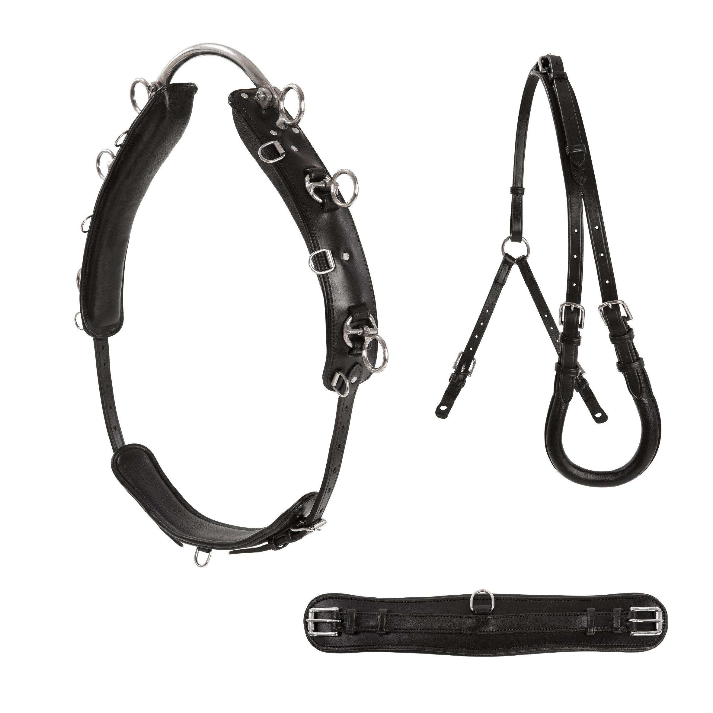 Lippo Basic Lunging Surcingle - Black - 2