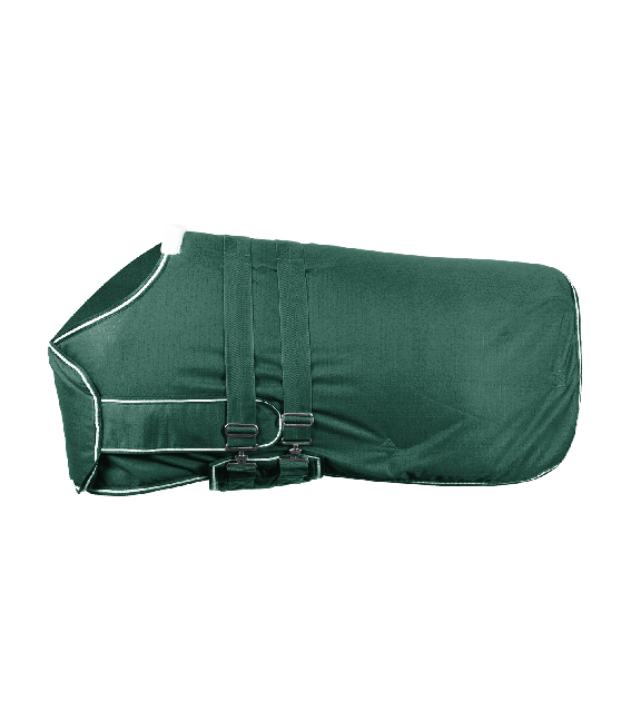 Waldhausen Waterproof Foal rug - Fir Green 100g