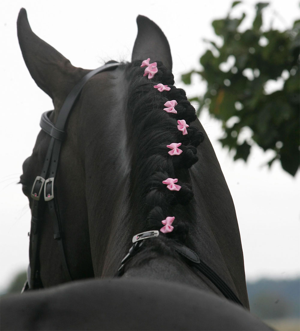 Hansbo Sport Manrosetter 20-p Rosa - 2