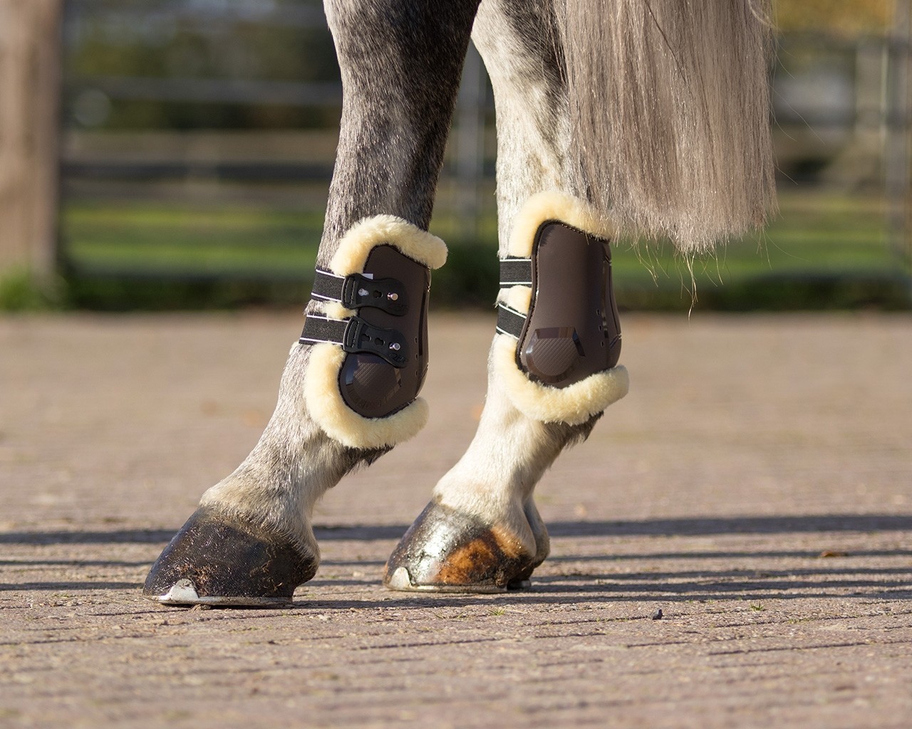 Hivutussuojat QHP Fetlock Boots Ontario – Musta - 3