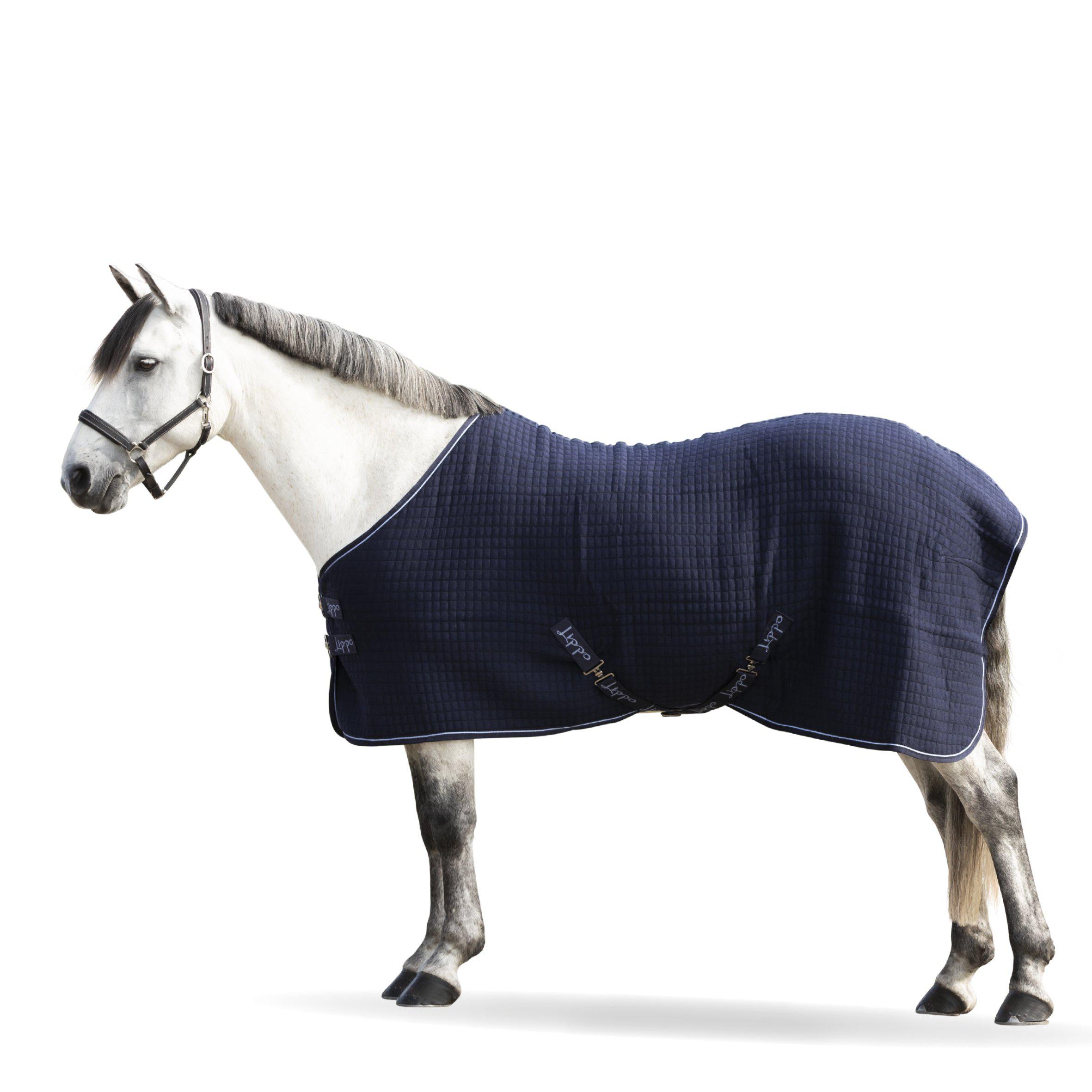 Lippo Cooler Svettäcke - Navy (115)
