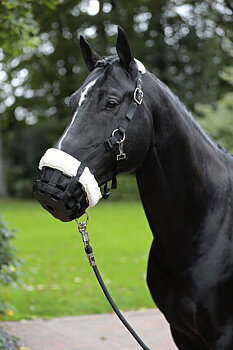 Källquist- Grazing Regulator / Muzzle- Lined