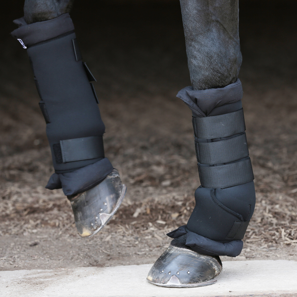 Hansbo Sport Stall/transportskydd Svart (L)