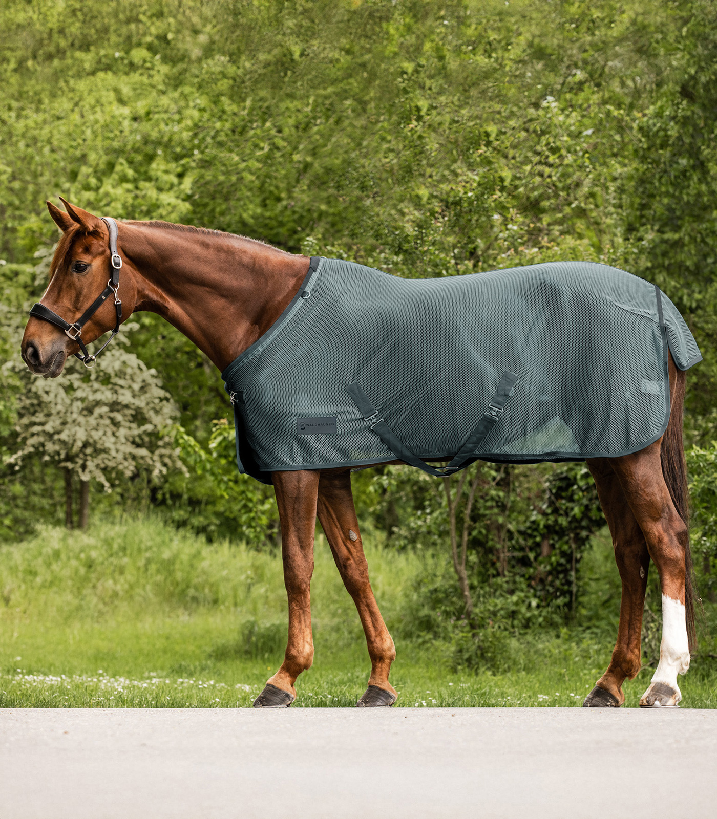 Waldhausen COMFORT Fly rug with cross surcingles - pine green