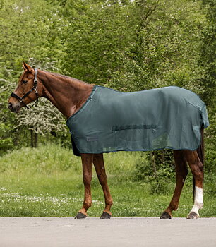 Waldhausen COMFORT Fly rug with belly flap - pine green