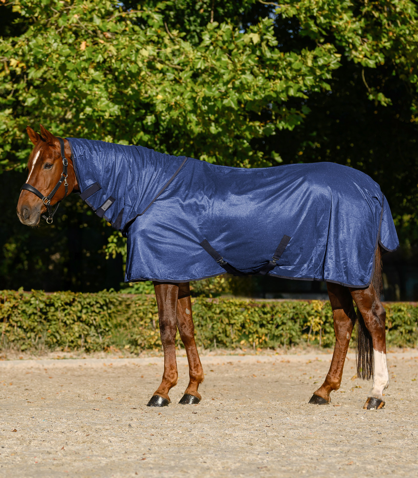 Waldhausen Fly rug FlyControl with neck part - blue - 2