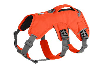 Ruffwear Web Master™ Harness - Blaze Orange