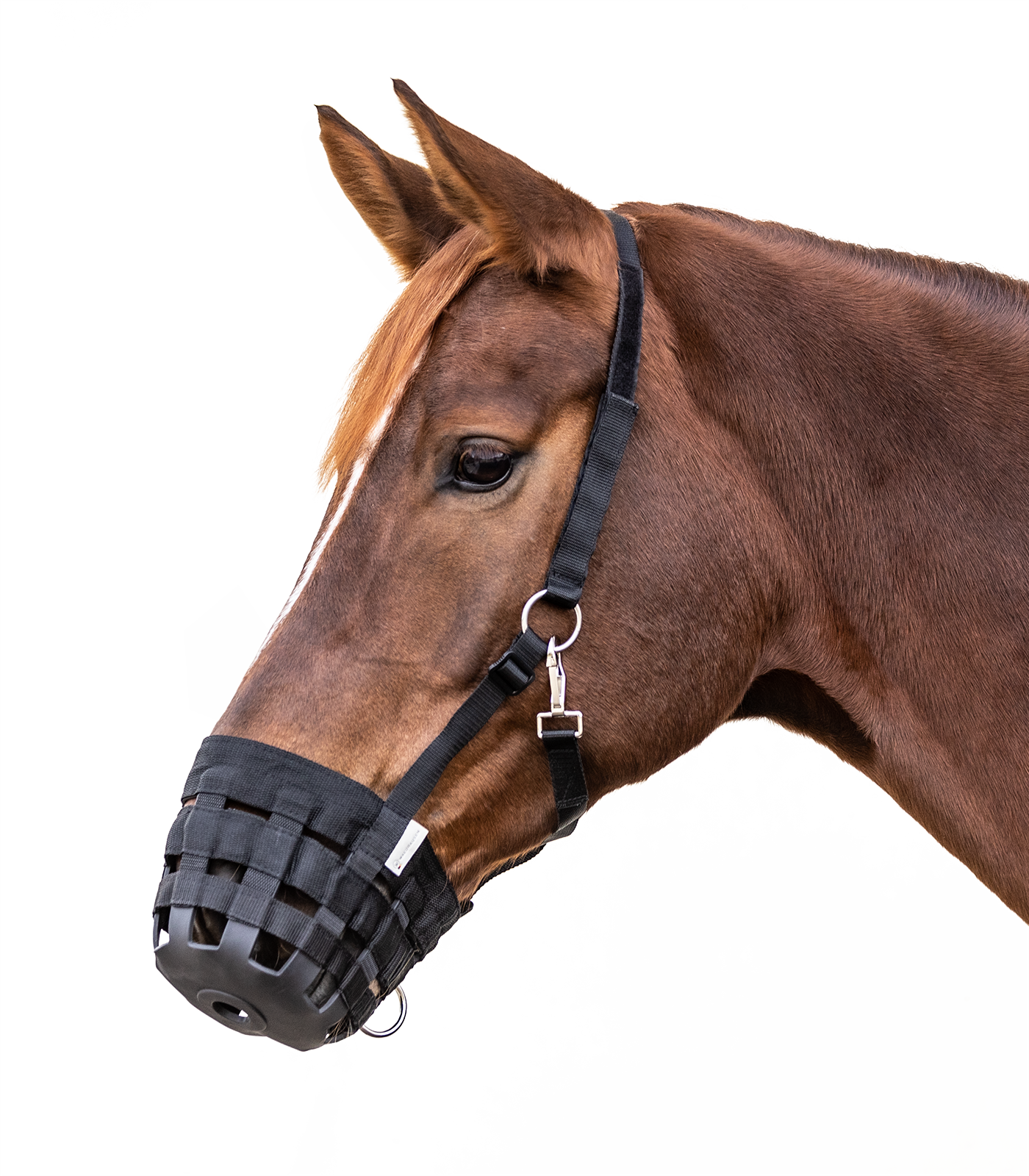 Waldhausen Grazing Muzzle black - 2