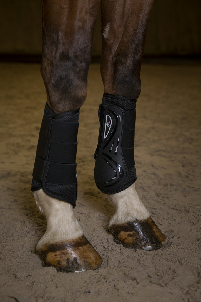 NORTON XTR Closed Benskydd Häst Svart (Ponny)