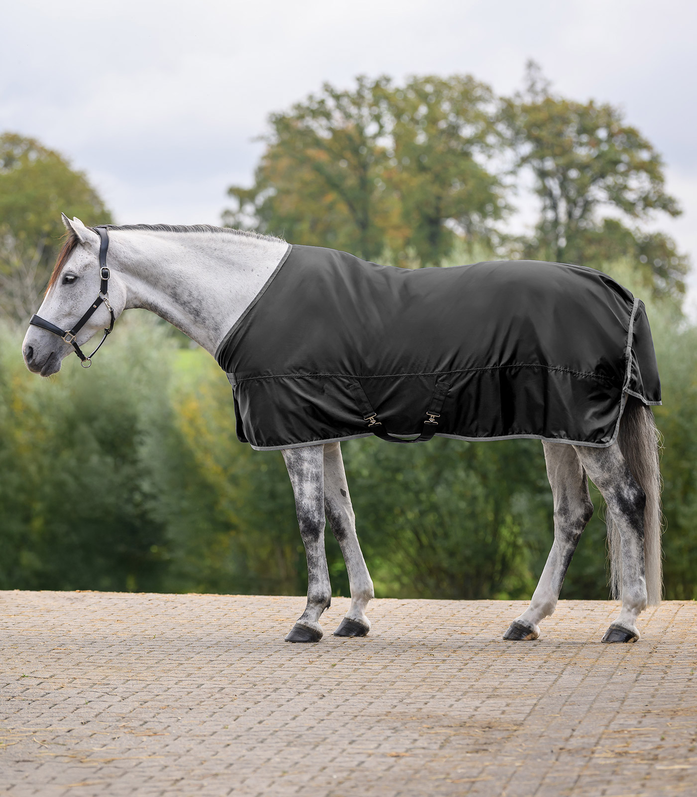 Waldhausen ECONOMIC rain sheet - black