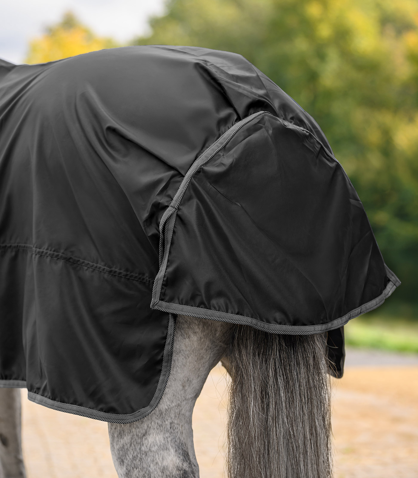 Waldhausen ECONOMIC rain sheet - black - 4