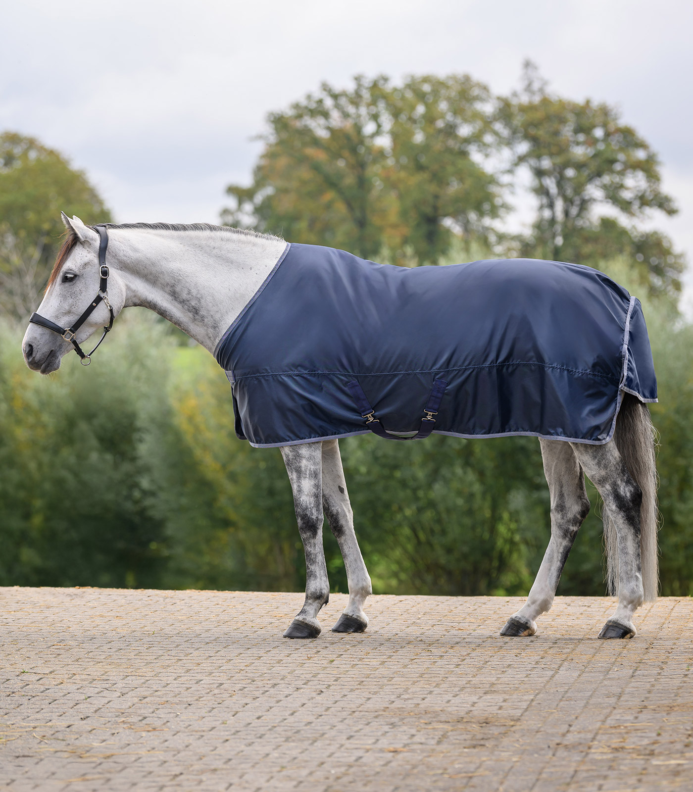 Waldhausen ECONOMIC rain sheet - night blue