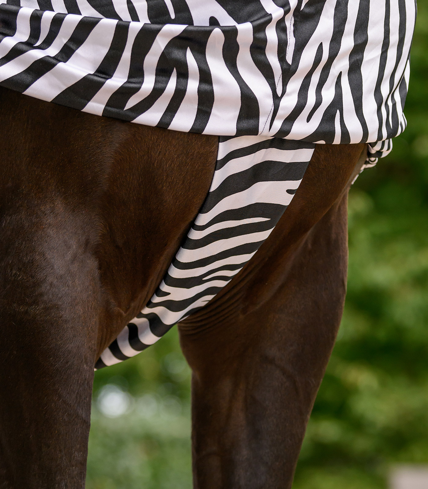 Waldhausen Zebra Basic eczema blanket - black/ white - 3