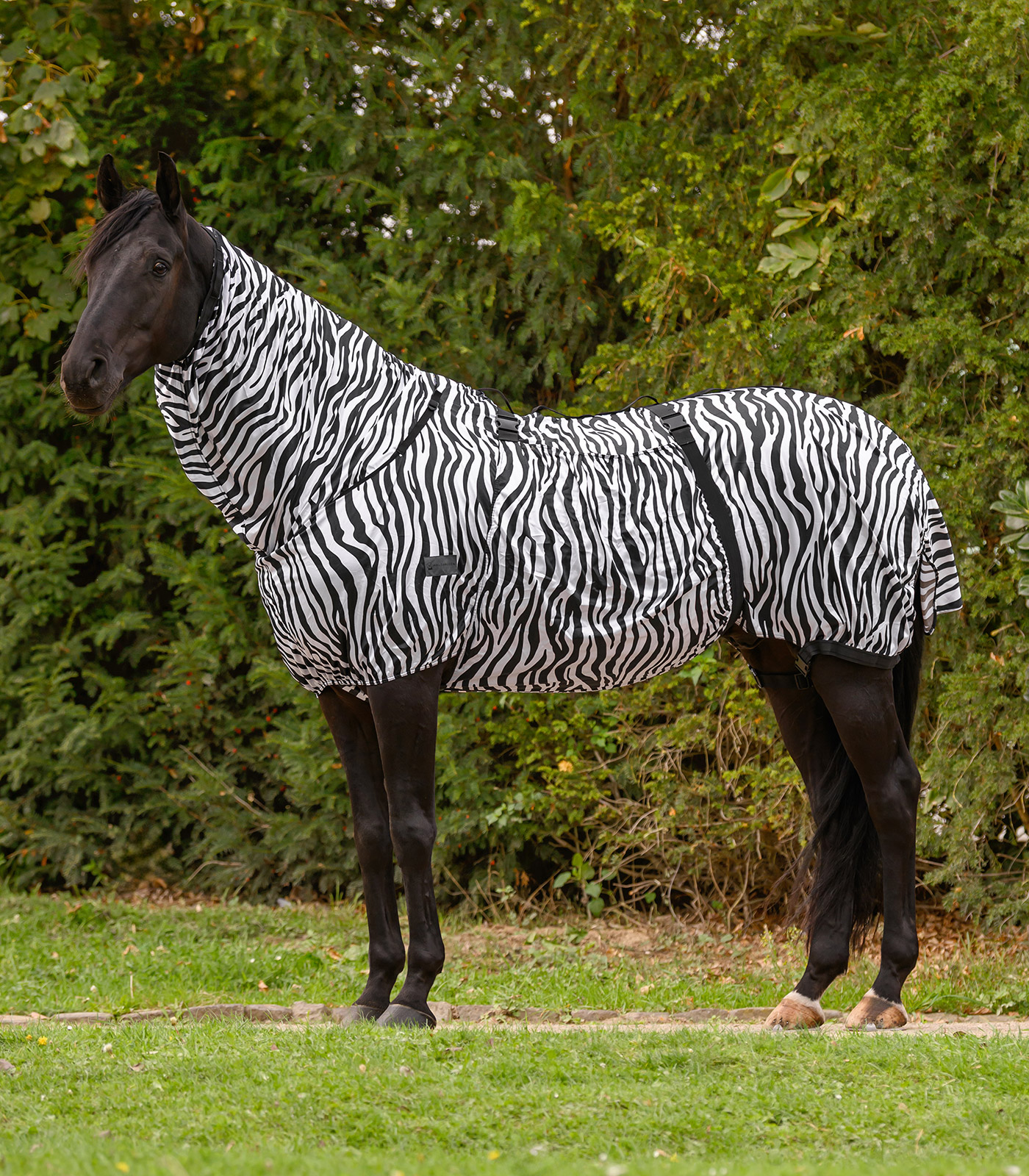 Waldhausen Zebra Basic eczema blanket - black/ white - 2