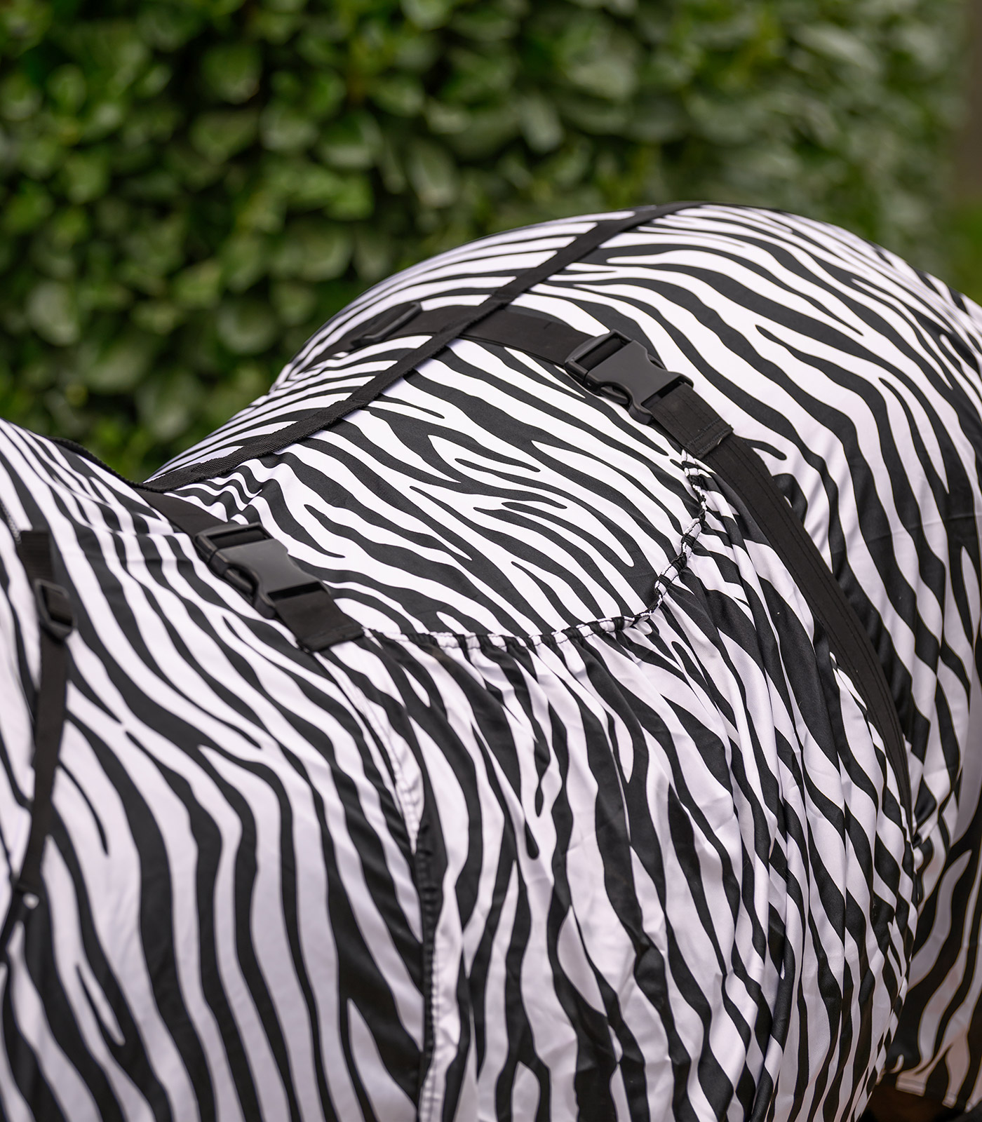 Waldhausen Zebra Basic eczema blanket - black/ white - 5