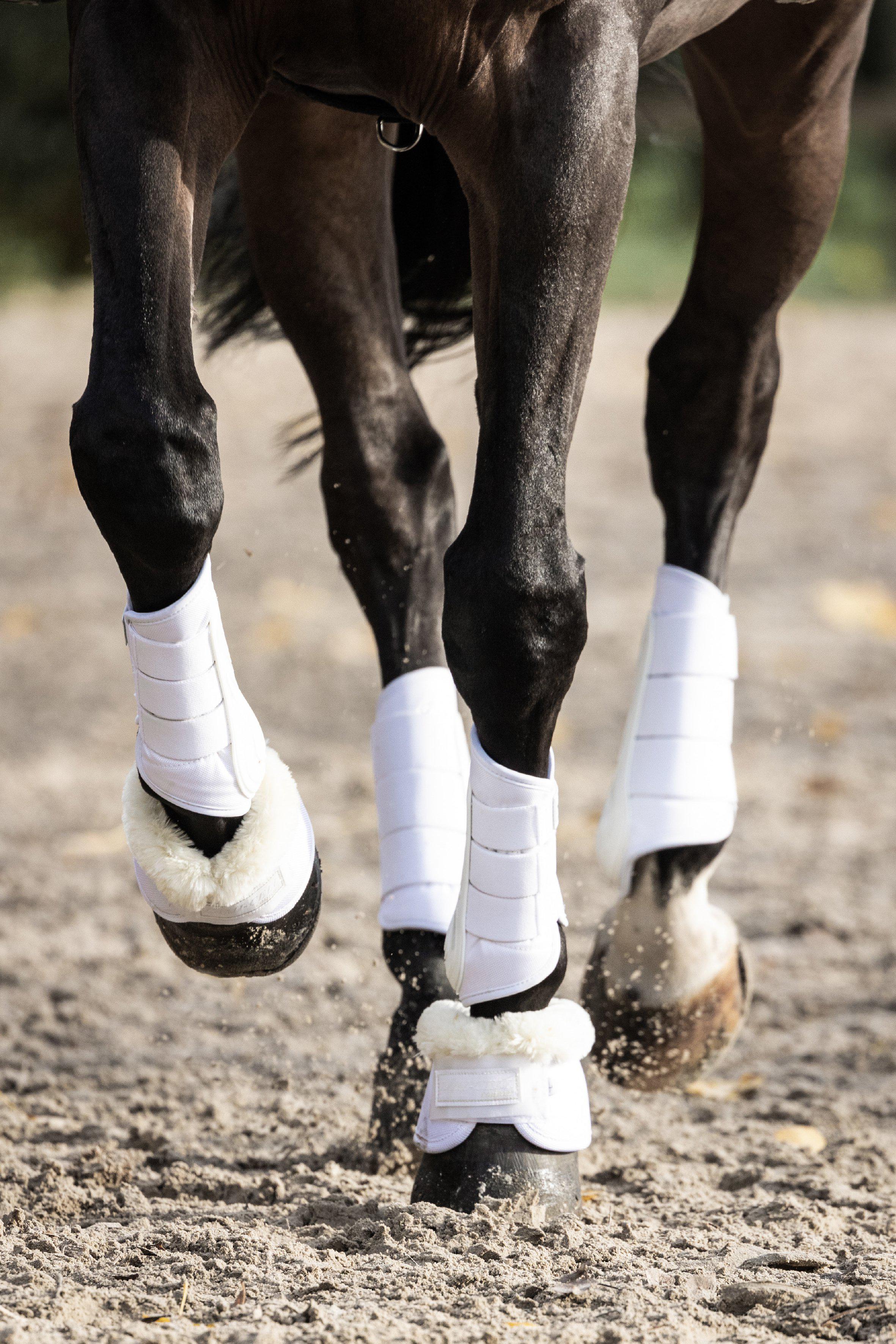 Lami-Cell Fetlock Boots V22 - Black - 2