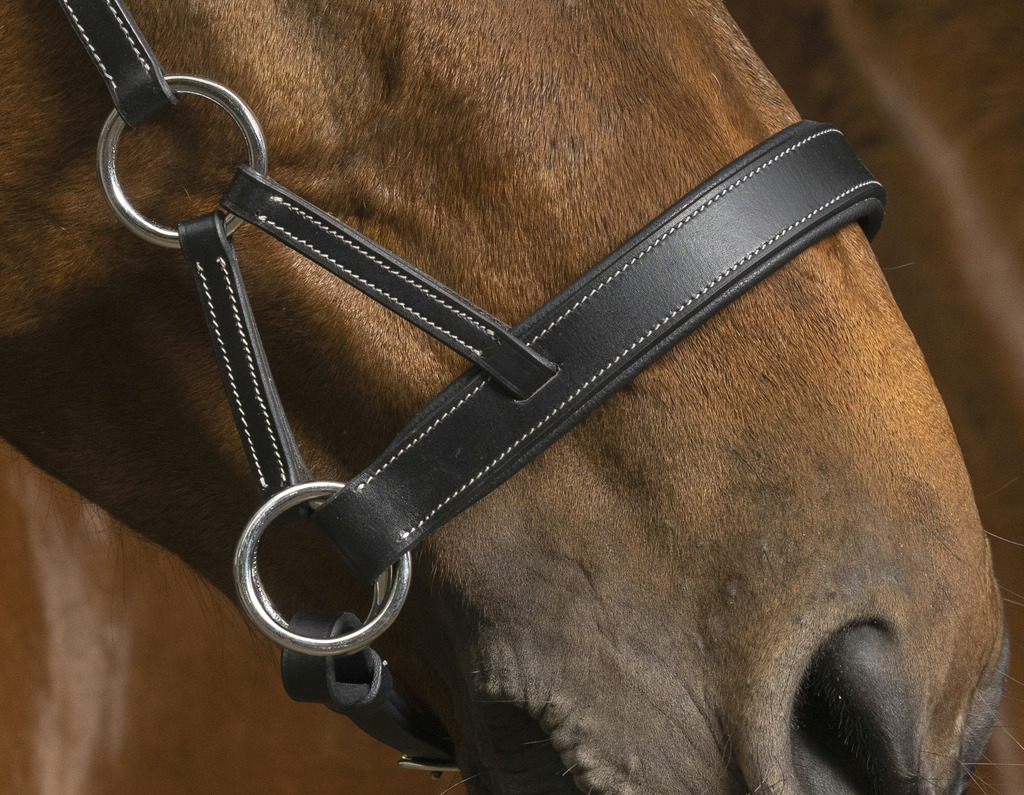 NORTON PRO Confort Side Pull Kuolaimettomat Suitset Musta - 3