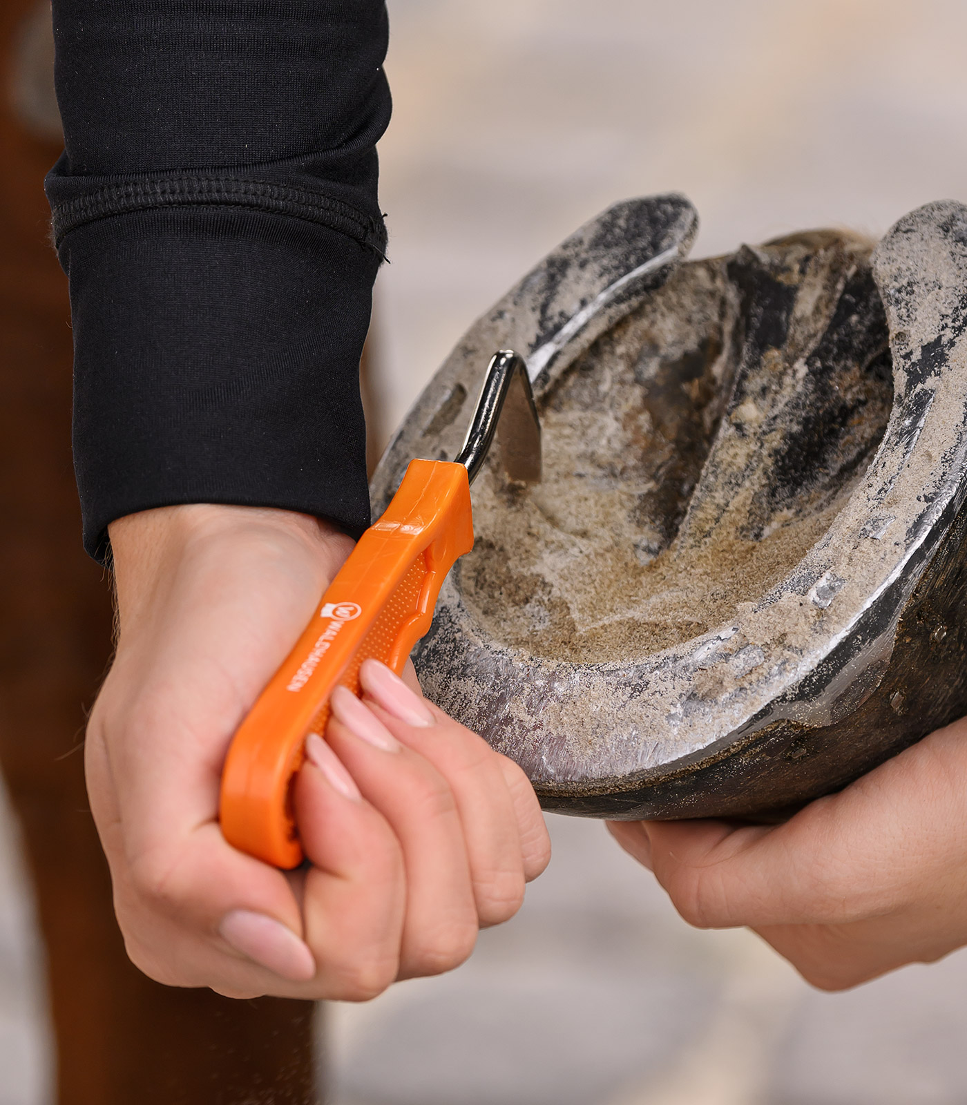Waldhausen Hovkratsare utan borste - orange - 2