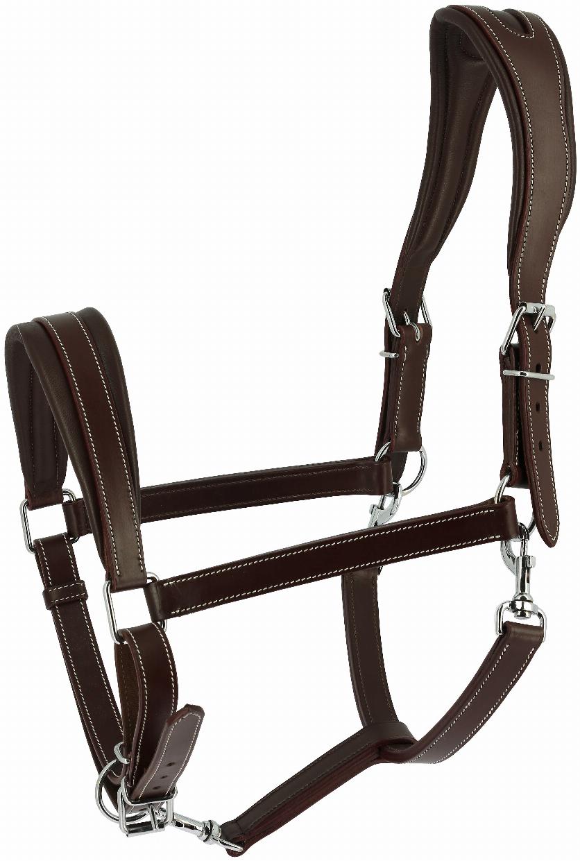 Norton Ardennais Grimma Havana