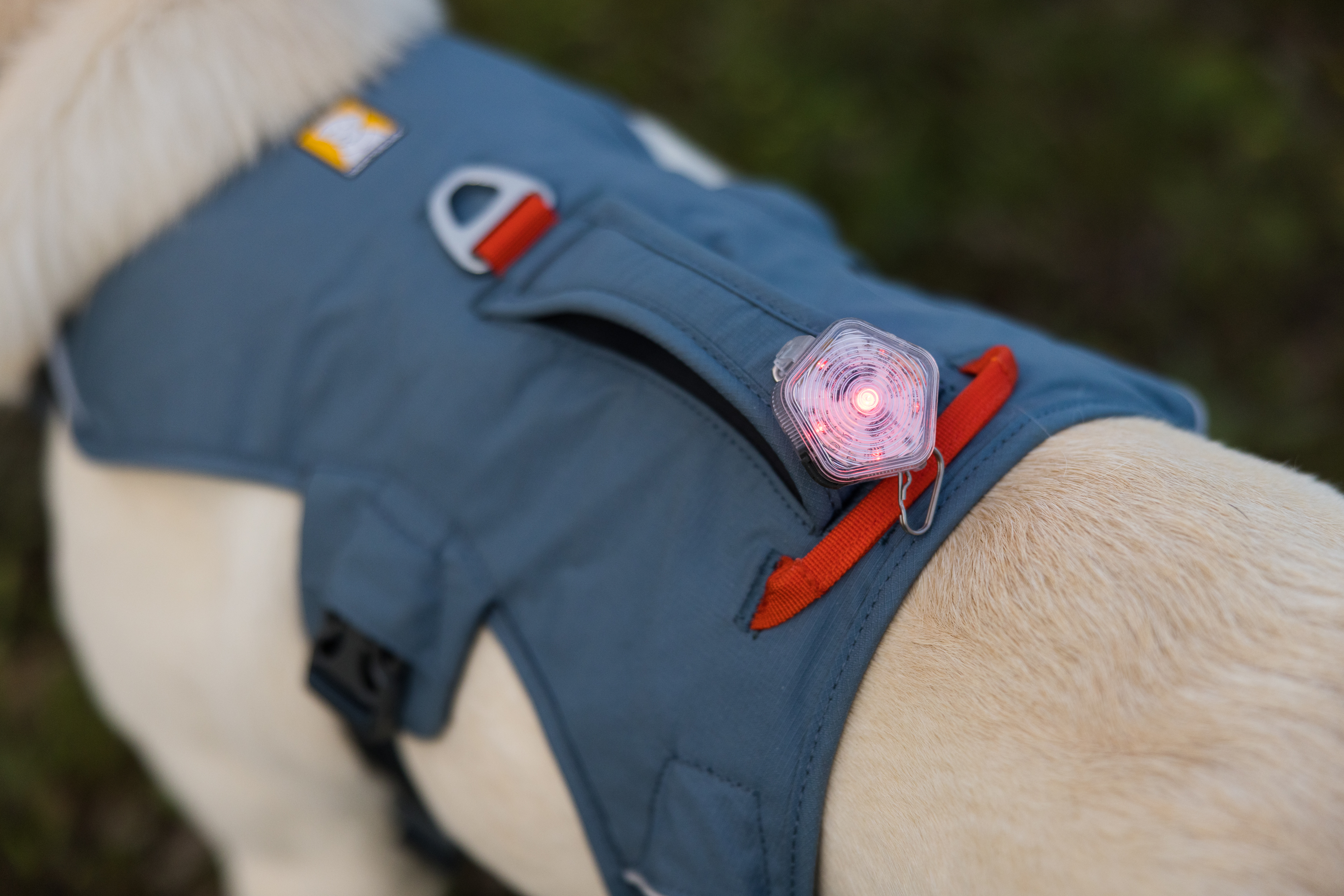 Ruffwear Web Master Harness - Slate Blue - 7