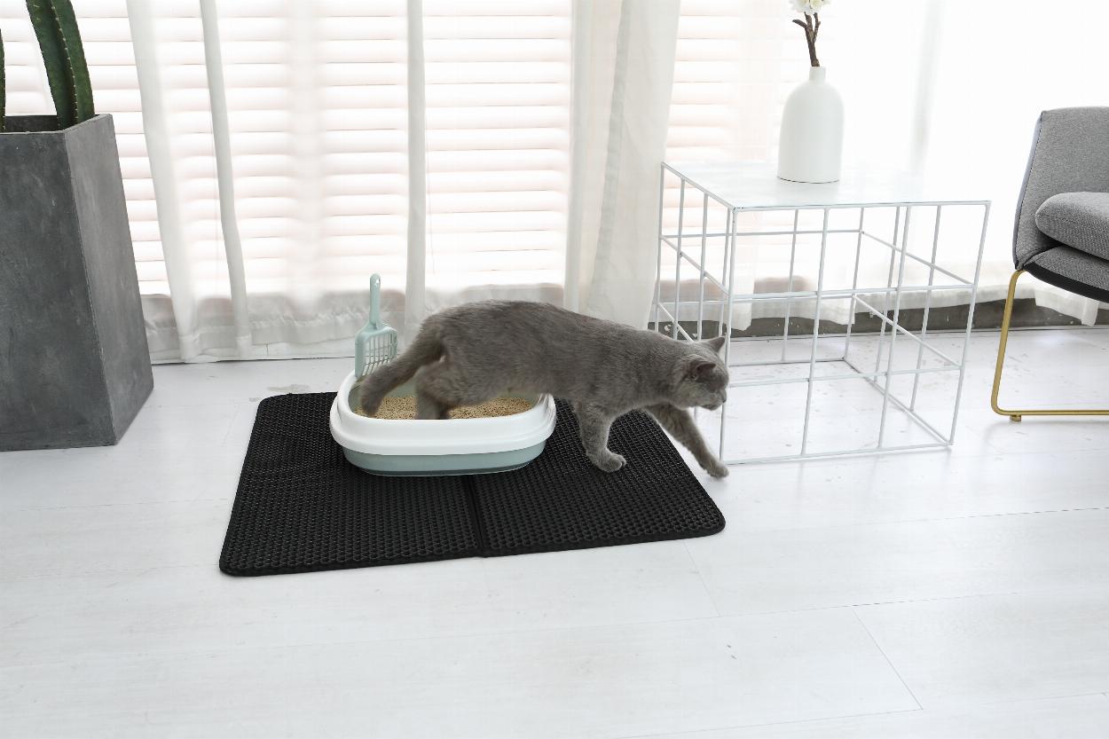 Companion Hopvikbar Kattsandsmatta 65x75 cm