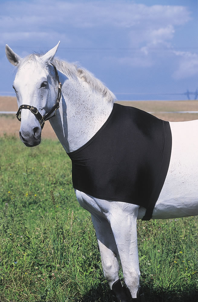 EQUITHÈME Bogskydd Svart (XL/Draught horse)