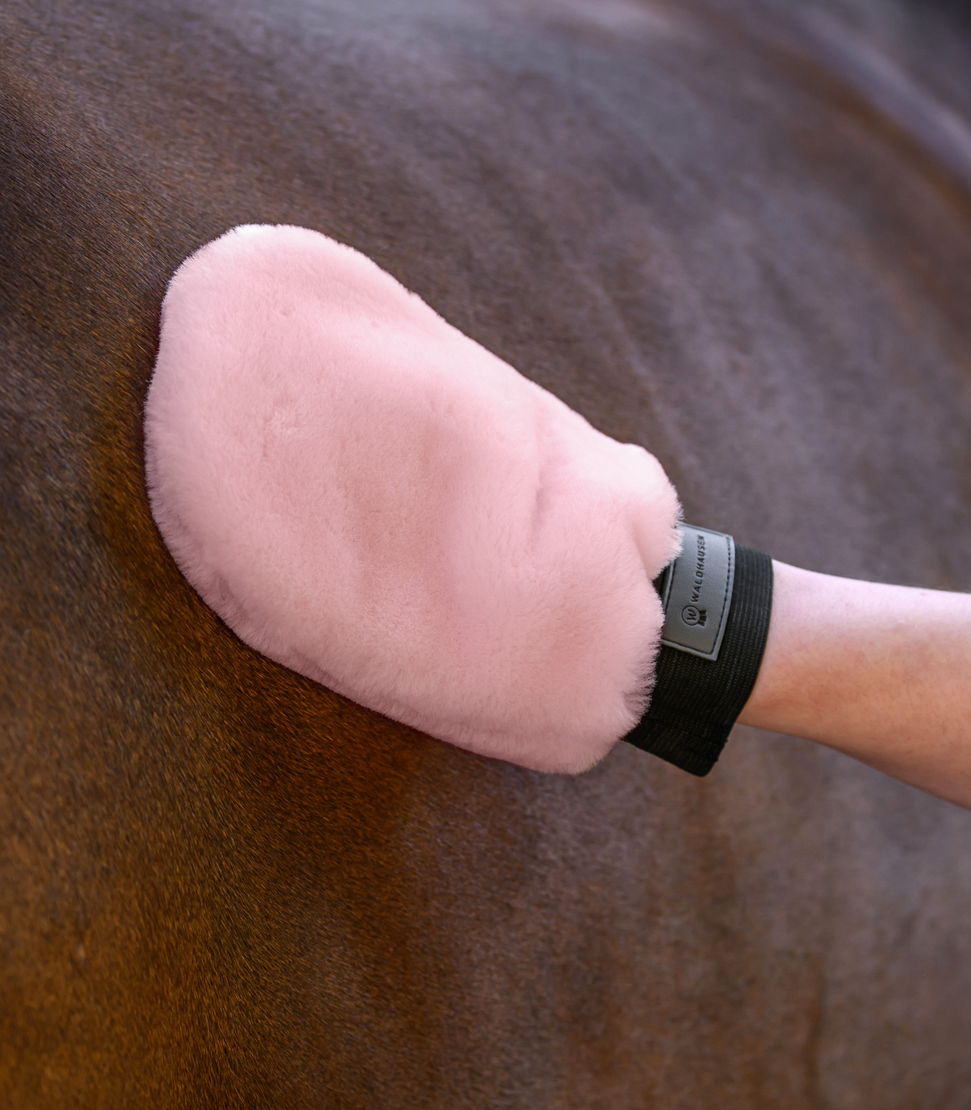Waldhausen Lucky lambskin grooming glove - rose - 2
